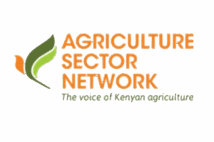 logo 6