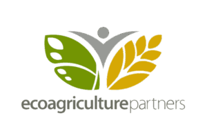 logo 7