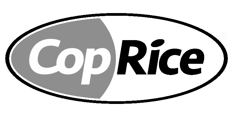 logo 6